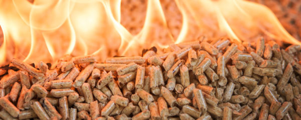 Le pellet